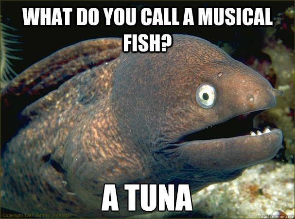 what do you call a musical fish? A Tuna  Bad Joke Eel