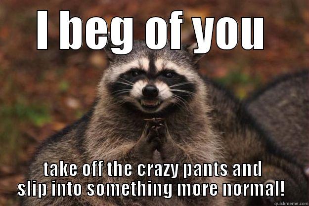 I BEG OF YOU TAKE OFF THE CRAZY PANTS AND SLIP INTO SOMETHING MORE NORMAL!  Evil Plotting Raccoon