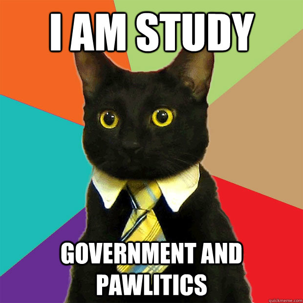 i am study government and pawlitics  Business Cat