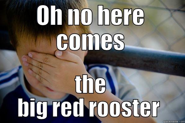 rooster  - OH NO HERE COMES THE BIG RED ROOSTER  Confession kid