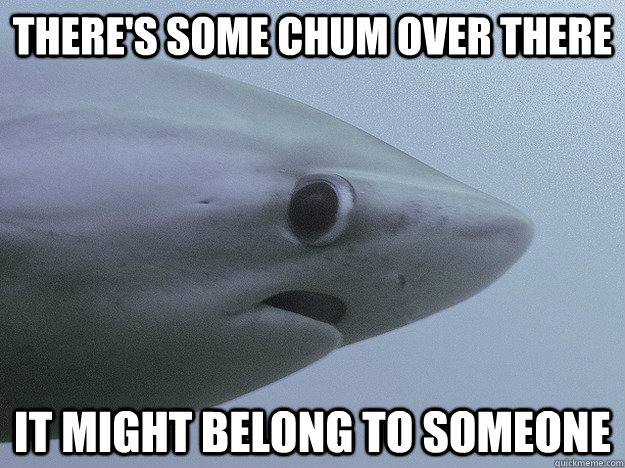 There's some chum over there It might belong to someone  Shy Shark