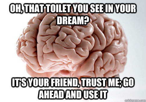 Oh, that toilet you see in your dream? It's your friend, trust me; go ahead and use it  Scumbag Brain