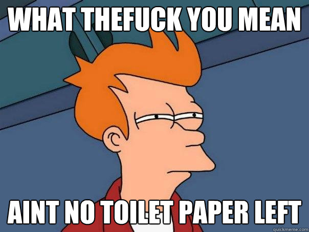 what thefuck you mean aint no toilet paper left  Futurama Fry