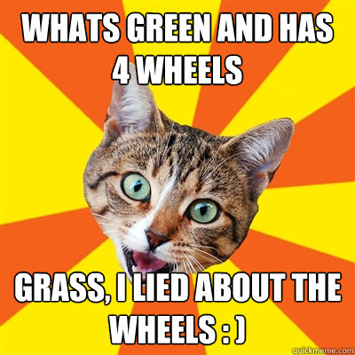 Whats green and has 4 wheels Grass, i lied about the wheels : )  Bad Advice Cat