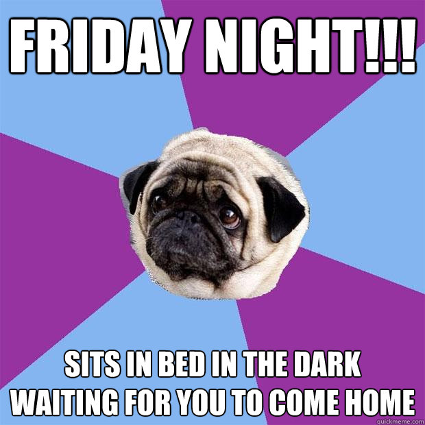 FRIDAY NIGHT!!! SITS IN BED IN THE DARK WAITING FOR YOU TO COME HOME - FRIDAY NIGHT!!! SITS IN BED IN THE DARK WAITING FOR YOU TO COME HOME  Lonely Pug