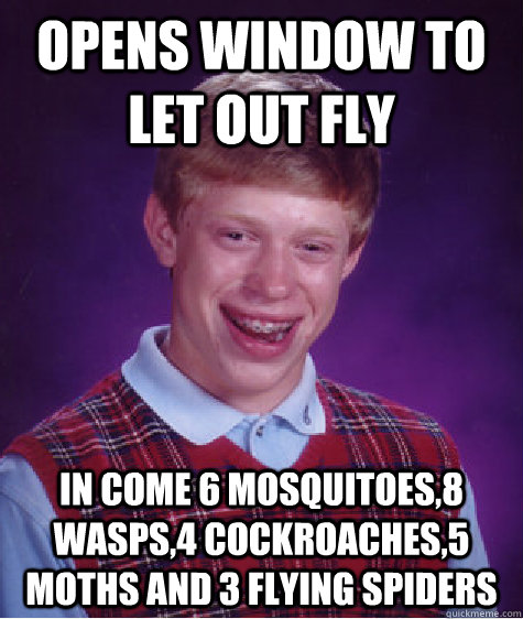 opens window to let out fly in come 6 mosquitoes,8 wasps,4 cockroaches,5 moths and 3 flying spiders    - opens window to let out fly in come 6 mosquitoes,8 wasps,4 cockroaches,5 moths and 3 flying spiders     Bad Luck Brian