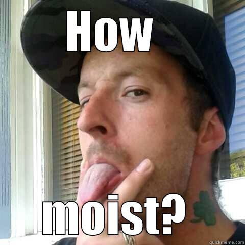 HOW   MOIST?  Misc