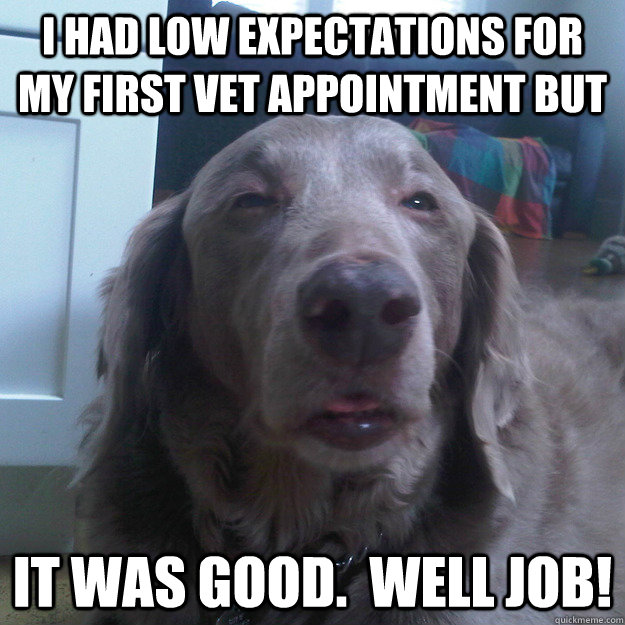 I had low expectations for my first vet appointment but It was good.  Well Job!  