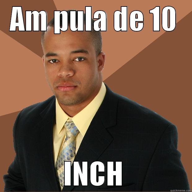 Pula de 10 inch - AM PULA DE 10 INCH Successful Black Man