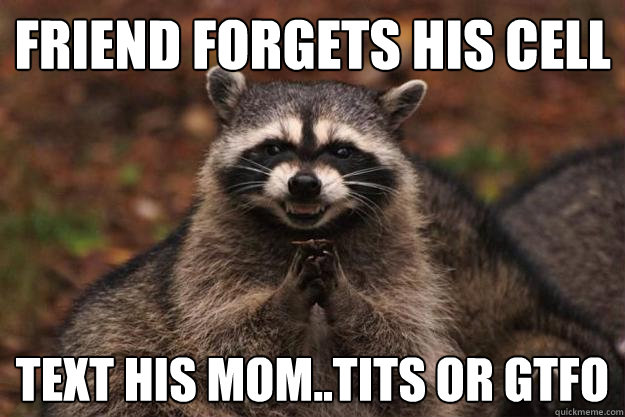 friend forgets his cell text his mom..tits or gtfo  Evil Plotting Raccoon