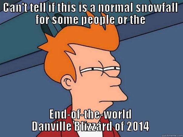 Dville Blizzard - CAN'T TELL IF THIS IS A NORMAL SNOWFALL FOR SOME PEOPLE OR THE END-OF-THE-WORLD DANVILLE BLIZZARD OF 2014 Futurama Fry