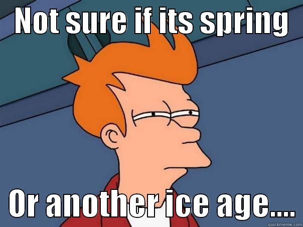   NOT SURE IF ITS SPRING     OR ANOTHER ICE AGE.... Futurama Fry