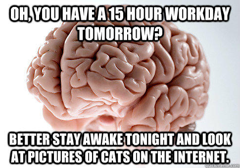 Oh, you have a 15 hour workday tomorrow? Better stay awake tonight and look at pictures of cats on the internet.  - Oh, you have a 15 hour workday tomorrow? Better stay awake tonight and look at pictures of cats on the internet.   Scumbag Brain