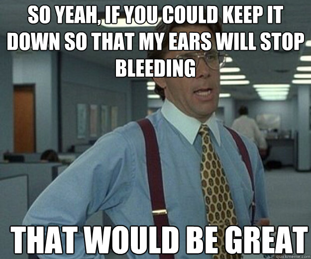 So yeah, if you could keep It down so that my ears will stop bleeding THAT WOULD BE GREAT  that would be great