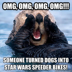 OMG, omg, omg, omg!!! someone turned dogs into 
Star Wars speeder bikes!  Surprised Otter