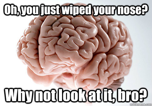 Oh, you just wiped your nose? Why not look at it, bro?   Scumbag Brain