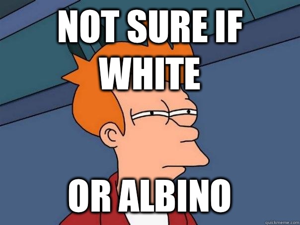 Not sure if white or albino  Futurama Fry