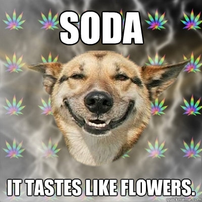 Soda It tastes like flowers.  Stoner Dog