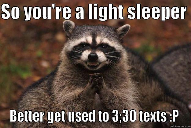 SO YOU'RE A LIGHT SLEEPER  BETTER GET USED TO 3;30 TEXTS :P Evil Plotting Raccoon