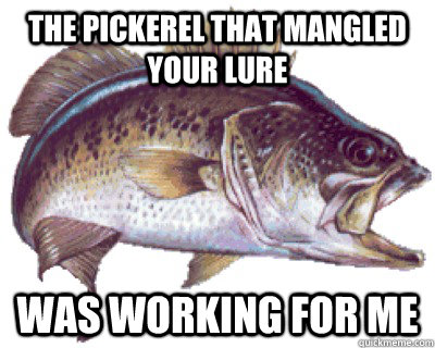 The pickerel that mangled your lure Was working for me - The pickerel that mangled your lure Was working for me  Larger Revenge Bass