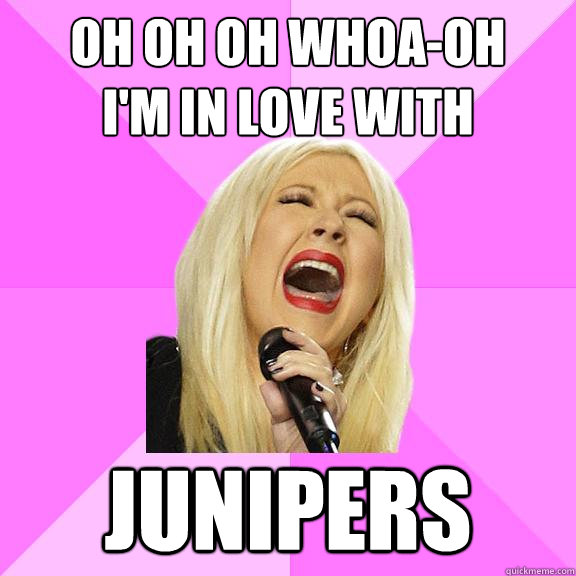 Oh oh oh whoa-oh
I'm in love with JUNIPERS  Wrong Lyrics Christina