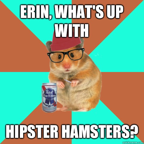 Erin, what's up with hipster hamsters? - Erin, what's up with hipster hamsters?  Hipster Hamster