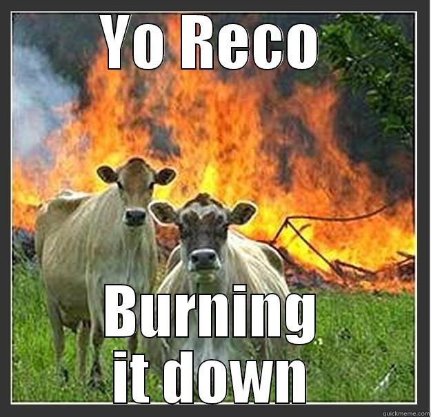 YO RECO BURNING IT DOWN Evil cows