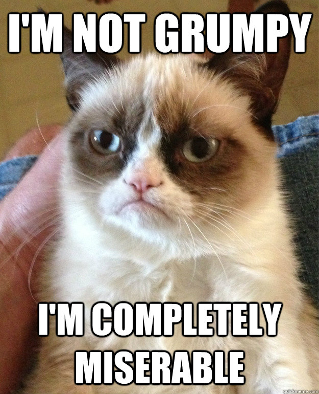 I'M NOT GRUMPY I'M COMPLETELY MISERABLE  Grumpy Cat