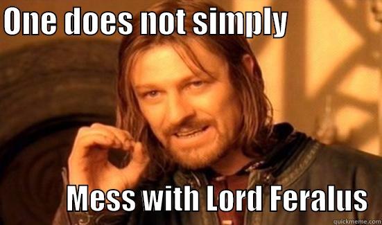 Haxxorinhos smacked - ONE DOES NOT SIMPLY                            MESS WITH LORD FERALUS  Boromir