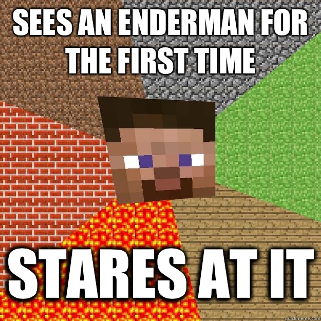 Sees an Enderman for the first time Stares at it  Minecraft