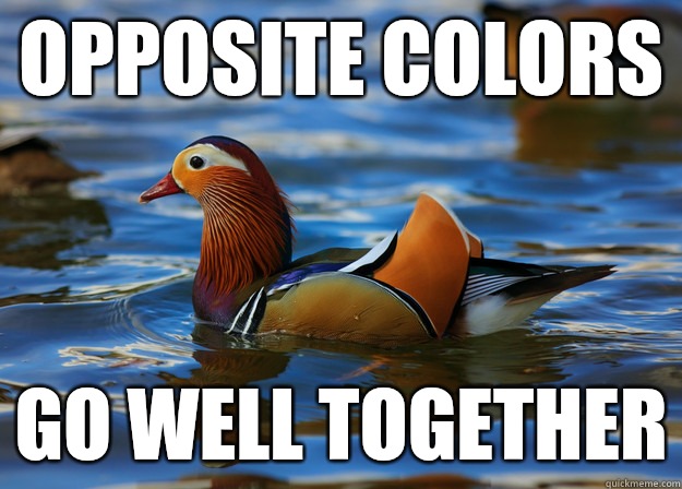 Opposite colors Go well together  Fashion Advice Mallard