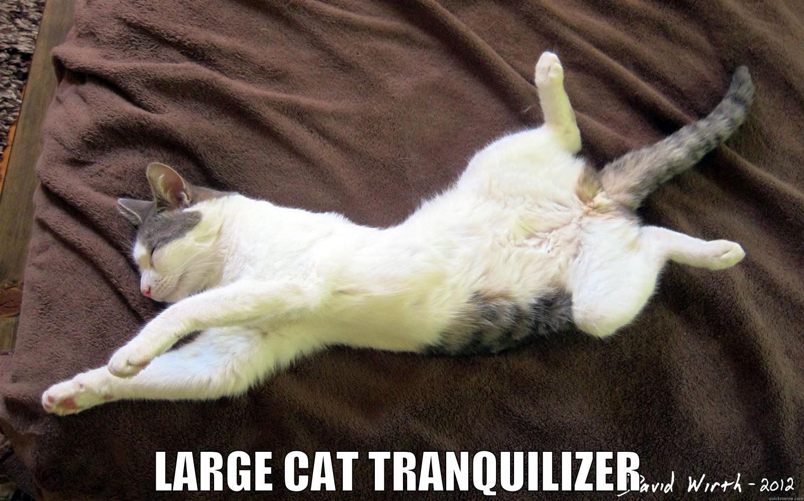 large cat tranquilizer -  LARGE CAT TRANQUILIZER Misc