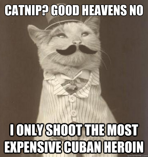 Catnip? Good heavens no I only shoot the most expensive cuban heroin  Original Business Cat