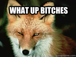 what up bitches  FOX FUNNY FACE