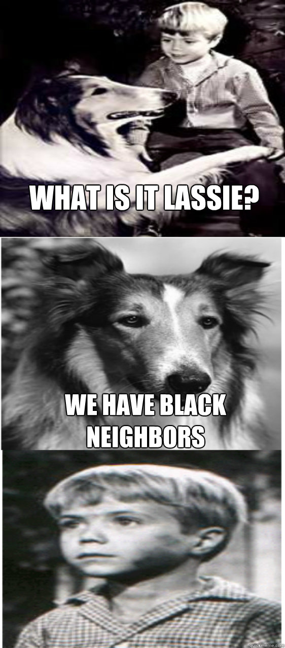 What is it lassie? We have black neighbors  