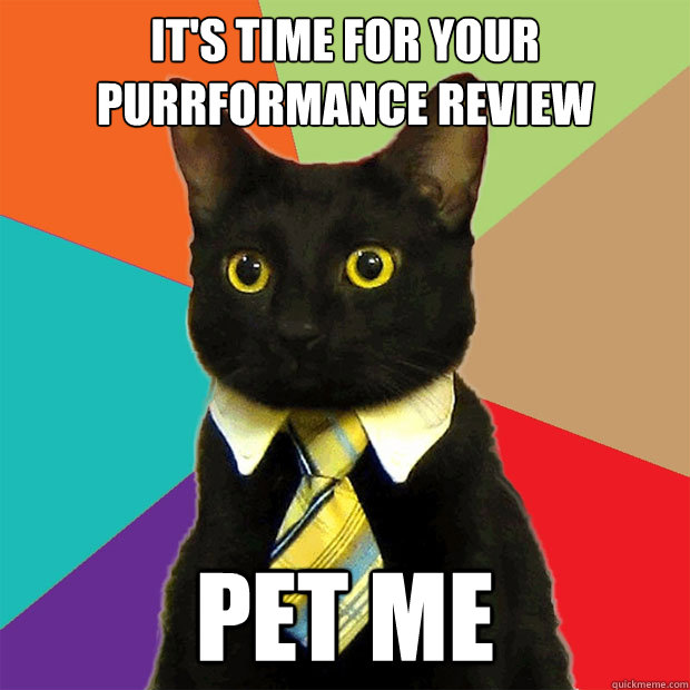 It's time for your Purrformance review PET ME  Business Cat