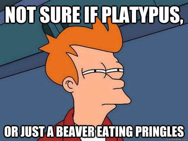 Not sure if Platypus, Or just a beaver eating pringles  Futurama Fry