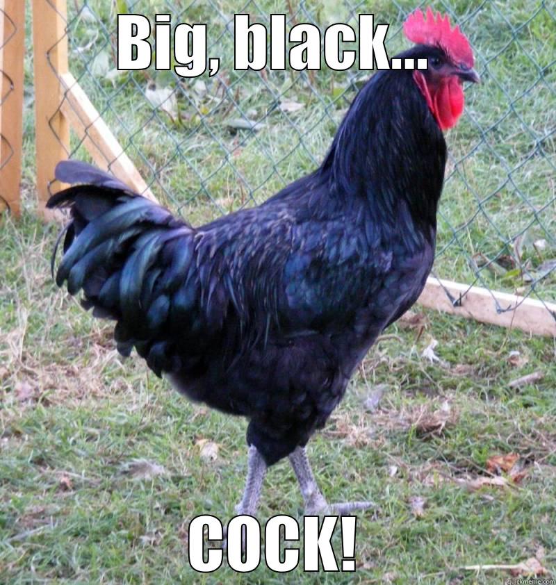 BIG, BLACK... COCK! Misc