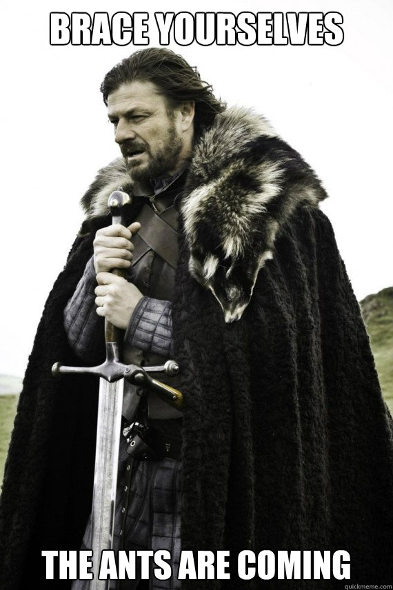 Brace yourselves THE ANTS ARE COMING  Brace yourself