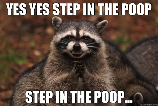 YES YES STEP IN THE POOP STEP IN THE POOP... - YES YES STEP IN THE POOP STEP IN THE POOP...  Evil Plotting Raccoon