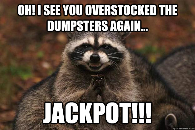 OH! I see you overstocked the dumpsters again... JACKPOT!!!  Evil Plotting Raccoon