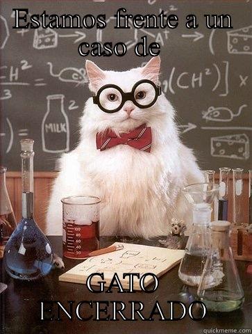 ESTAMOS FRENTE A UN CASO DE  GATO ENCERRADO Chemistry Cat