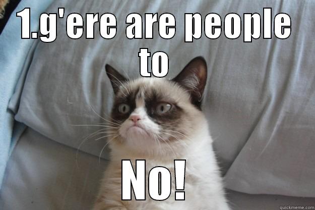 1.G'ERE ARE PEOPLE TO NO! Grumpy Cat