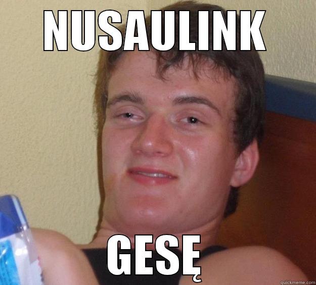 NUSAULINK GESĘ 10 Guy