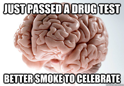 Just passed a drug test better smoke to celebrate  Scumbag Brain