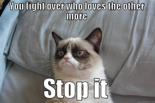 YOU FIGHT OVER WHO LOVES THE OTHER MORE STOP IT Grumpy Cat