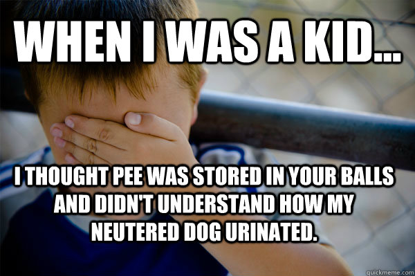 WHEN I WAS A KID... I thought pee was stored in your balls and didn't understand how my neutered dog urinated.  Confession kid