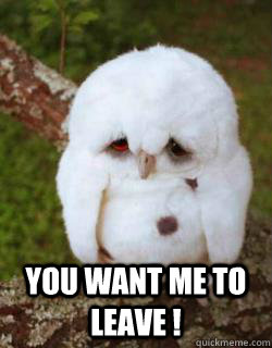  You want me to leave ! -  You want me to leave !  Sad Owl