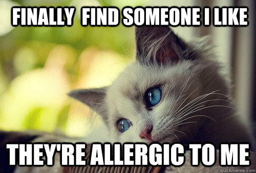  Finally  find someone I like  they're allergic to me -  Finally  find someone I like  they're allergic to me  First World Problems Cat