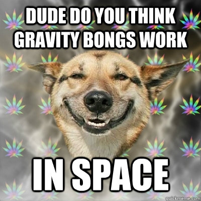 dude do you think gravity bongs work in space  Stoner Dog